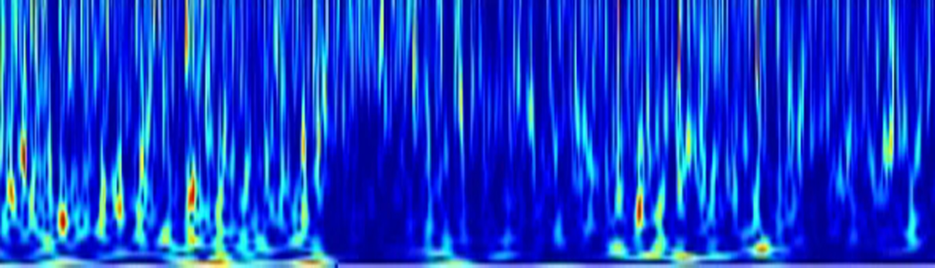 大腦中執(zhí)行不同認知功能環(huán)路之間的協(xié)同作用